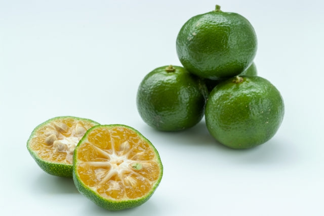 Shikuwasa: Okinawa’s Little Green Citrus with a Big Sour Kick